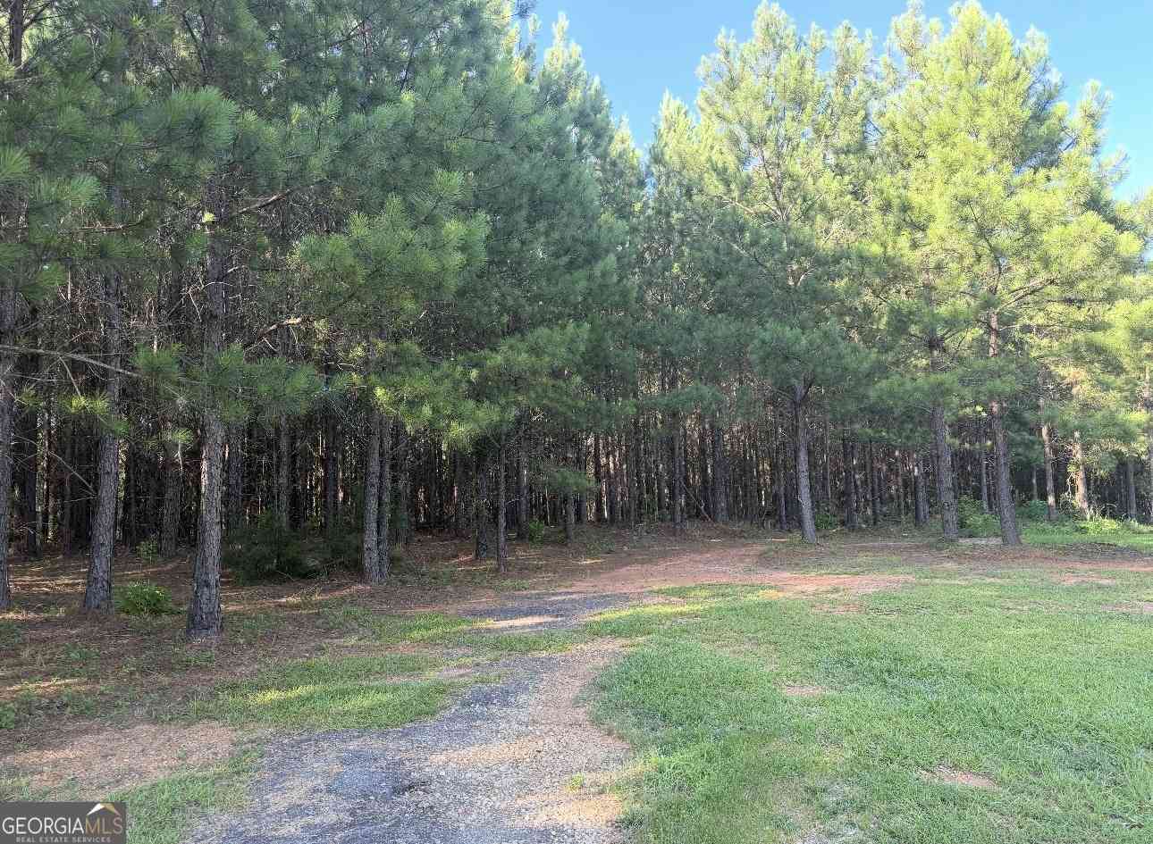 Vacant Land For Sale - 1939 Hwy 41 N<br/> Forsyth, GA 31029