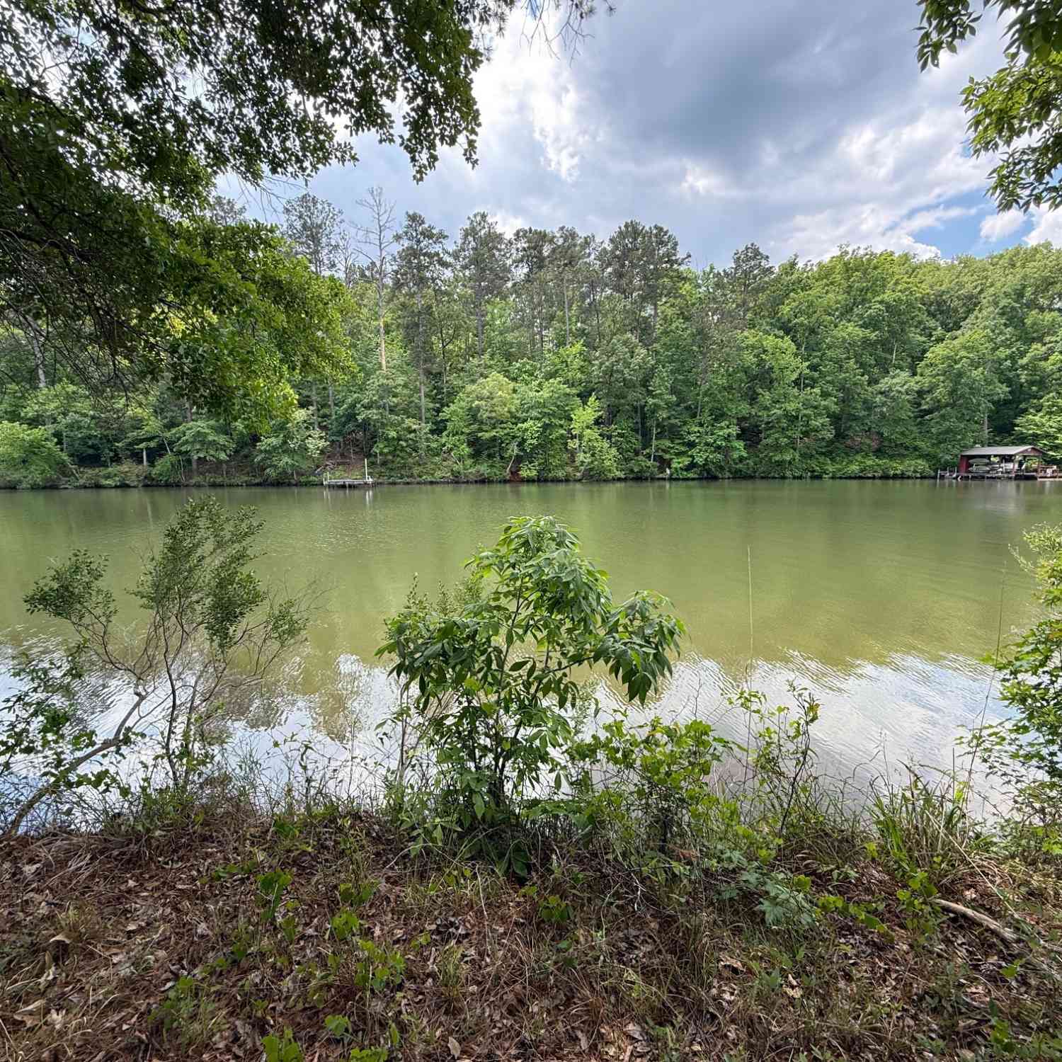 Vacant Land For Sale - Hickory Pass<br/> Sparta, GA 31087