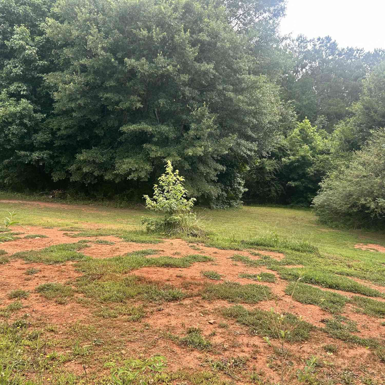 Vacant Land For Sale - 418 Ivy Creek Dr.<br/> Nicholson, GA 30565