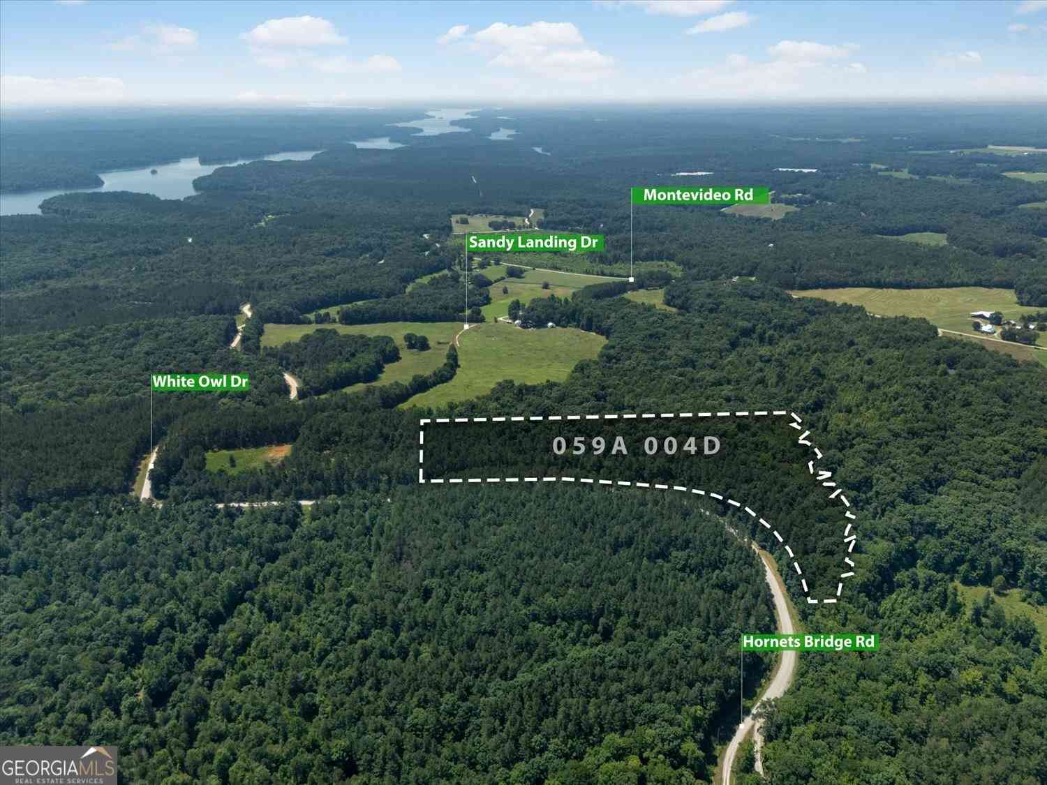 Vacant Land For Sale - Hornets Bridge Road<br/> Elberton, GA 30635