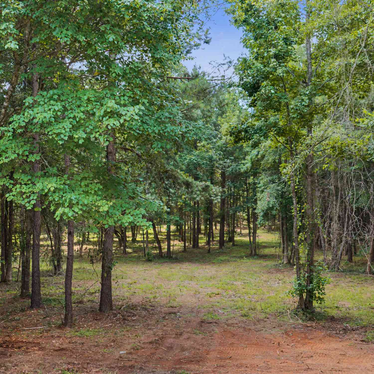 Vacant Land For Sale - 661 Hugh Oneal Road<br/> Greenville, GA 30222