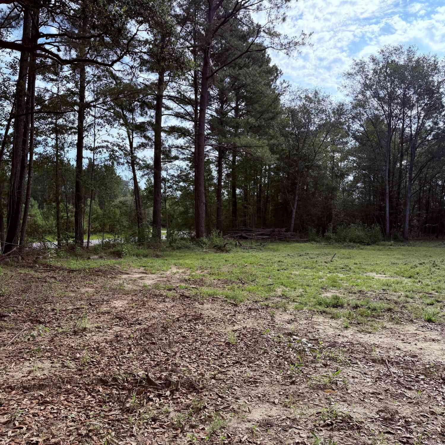 Vacant Land For Sale - 3980 Mosely Road Road<br/> Claxton, GA 30417