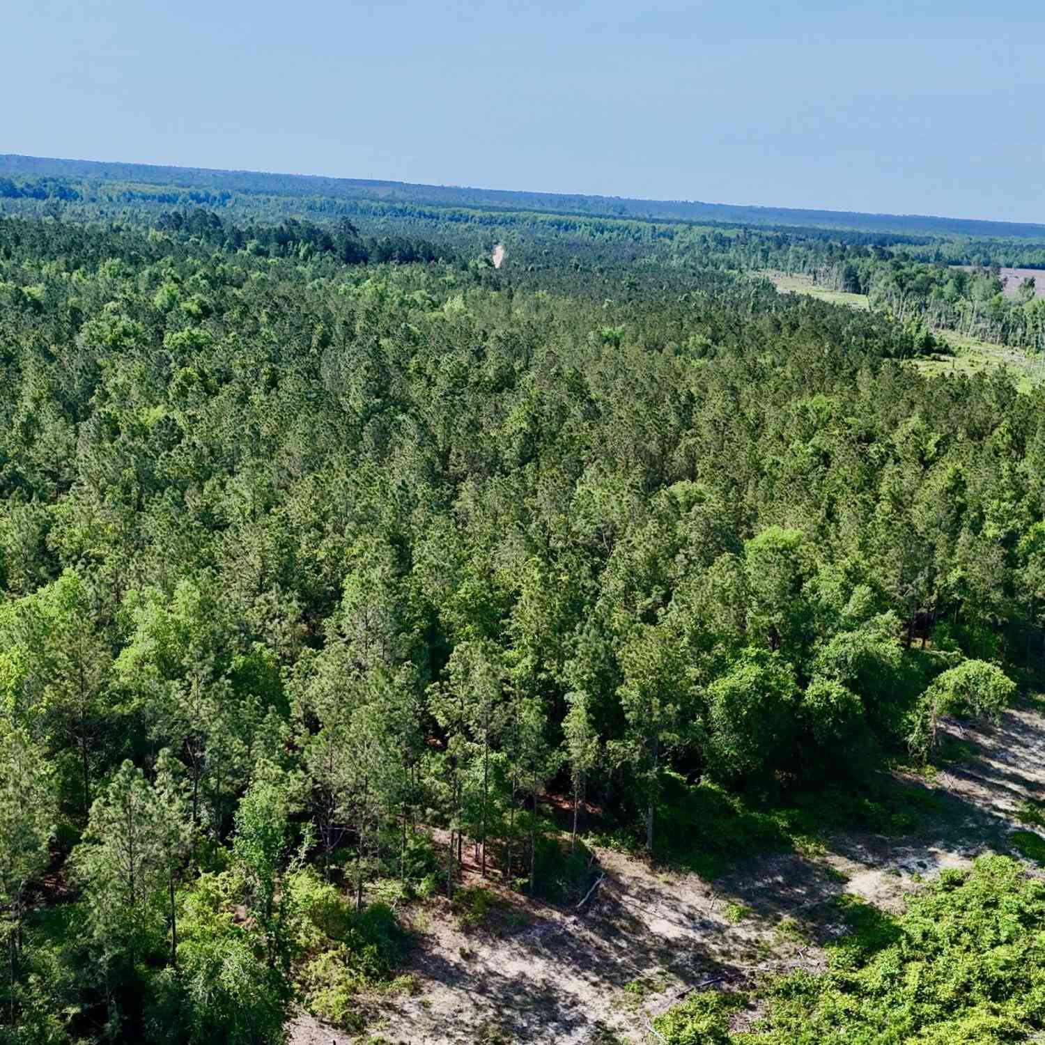 Vacant Land For Sale - Tillman Cemetery Road<br/> Lumber City, GA 31549