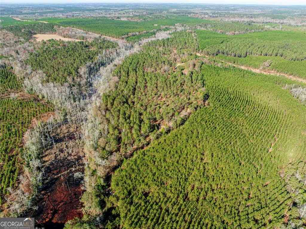 Vacant Land For Sale - N Indian Trail Road<br/> Sandersville, GA 31082
