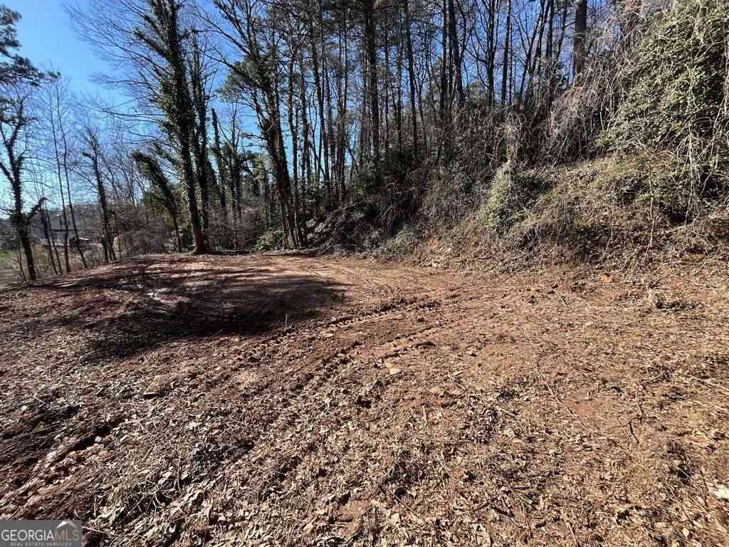 Vacant Land For Sale - 59 Bradley Street<br/> Fannin County, Blue Ridge, GA 30513