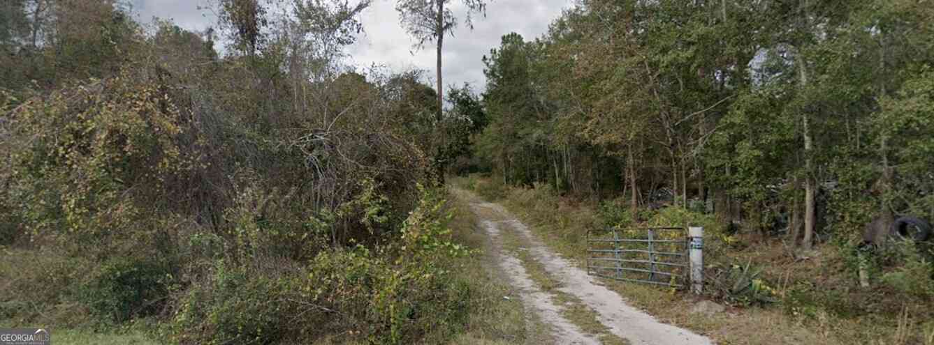 Vacant Land For Sale - 470 Wells Cemetery Road<br/> Hinesville, GA 31313
