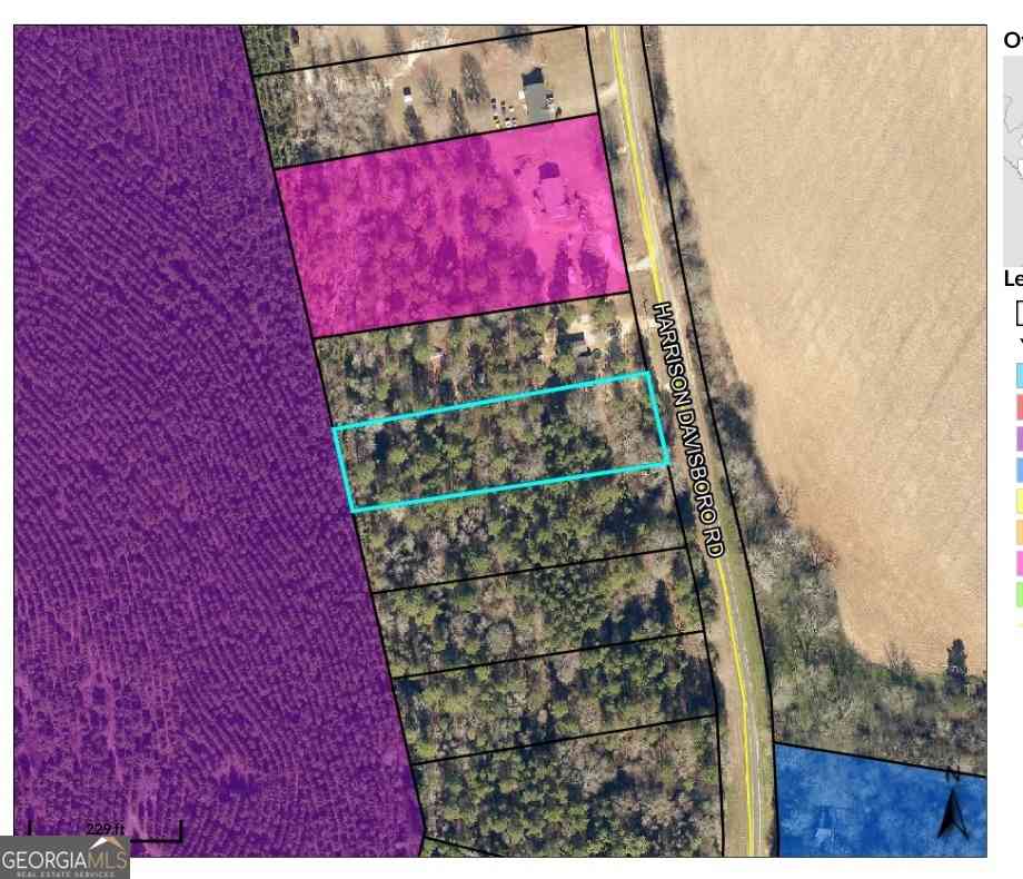 Vacant Land For Sale - LOT 1 Harrison Davisboro Road<br/> Washington County, Davisboro, GA 31018
