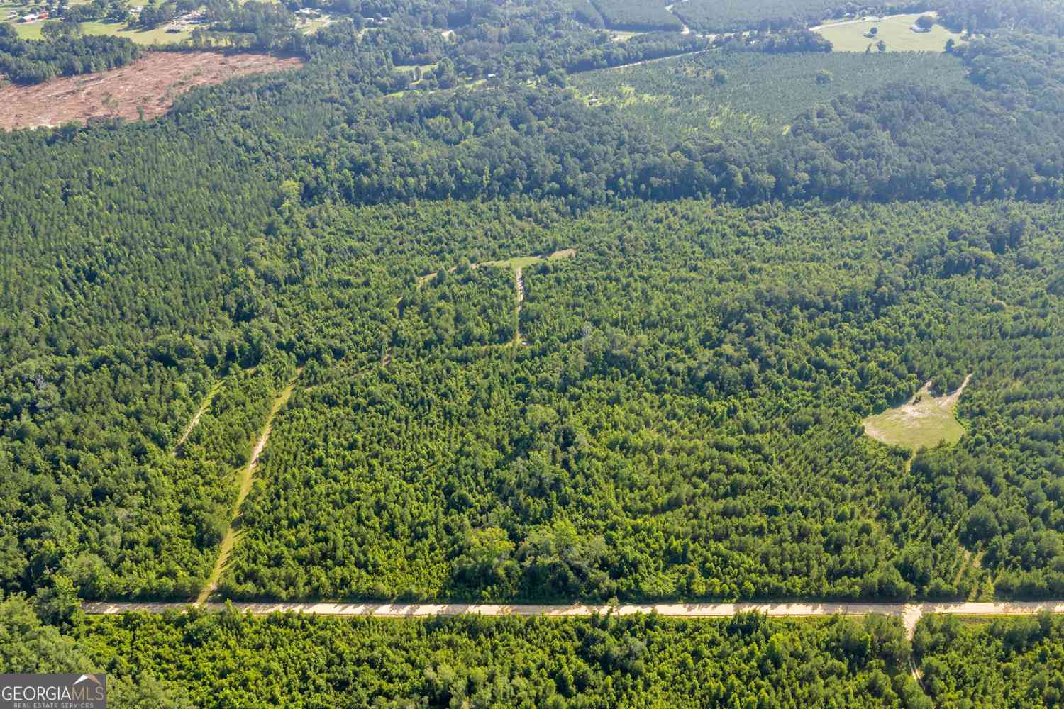 Vacant Land For Sale - 1 Rozar Goolsby Rd<br/> Dodge County, Eastman, GA 31023