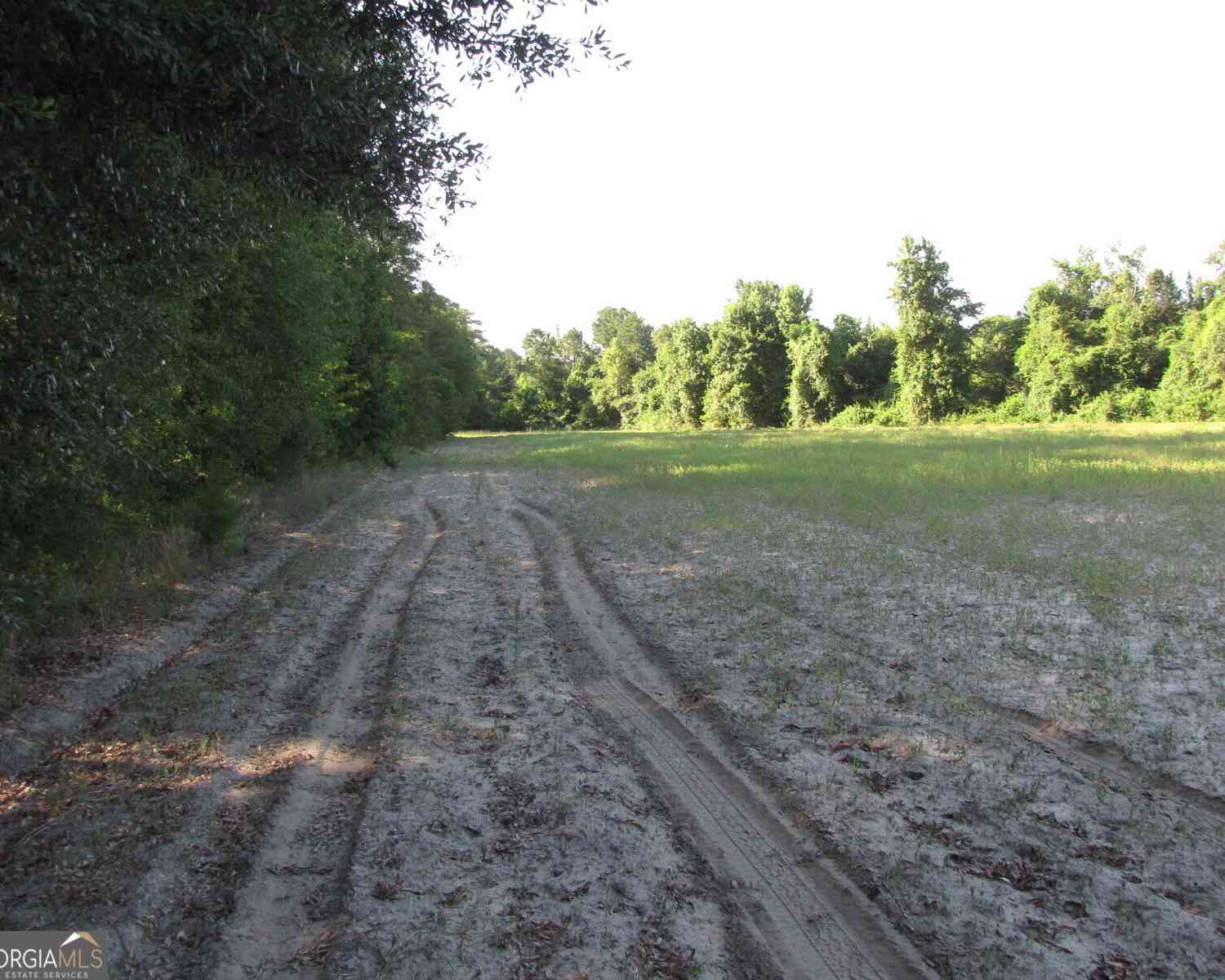 Vacant Land For Sale - Hwy 17<br/> Newington, GA 30446