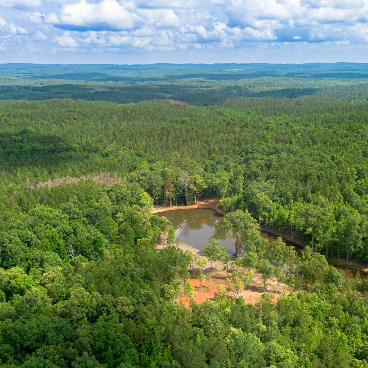Vacant Land For Sale - Vineyard Lot 1, 2, 4, 5, 6<br/> Fruithurst, AL 36262