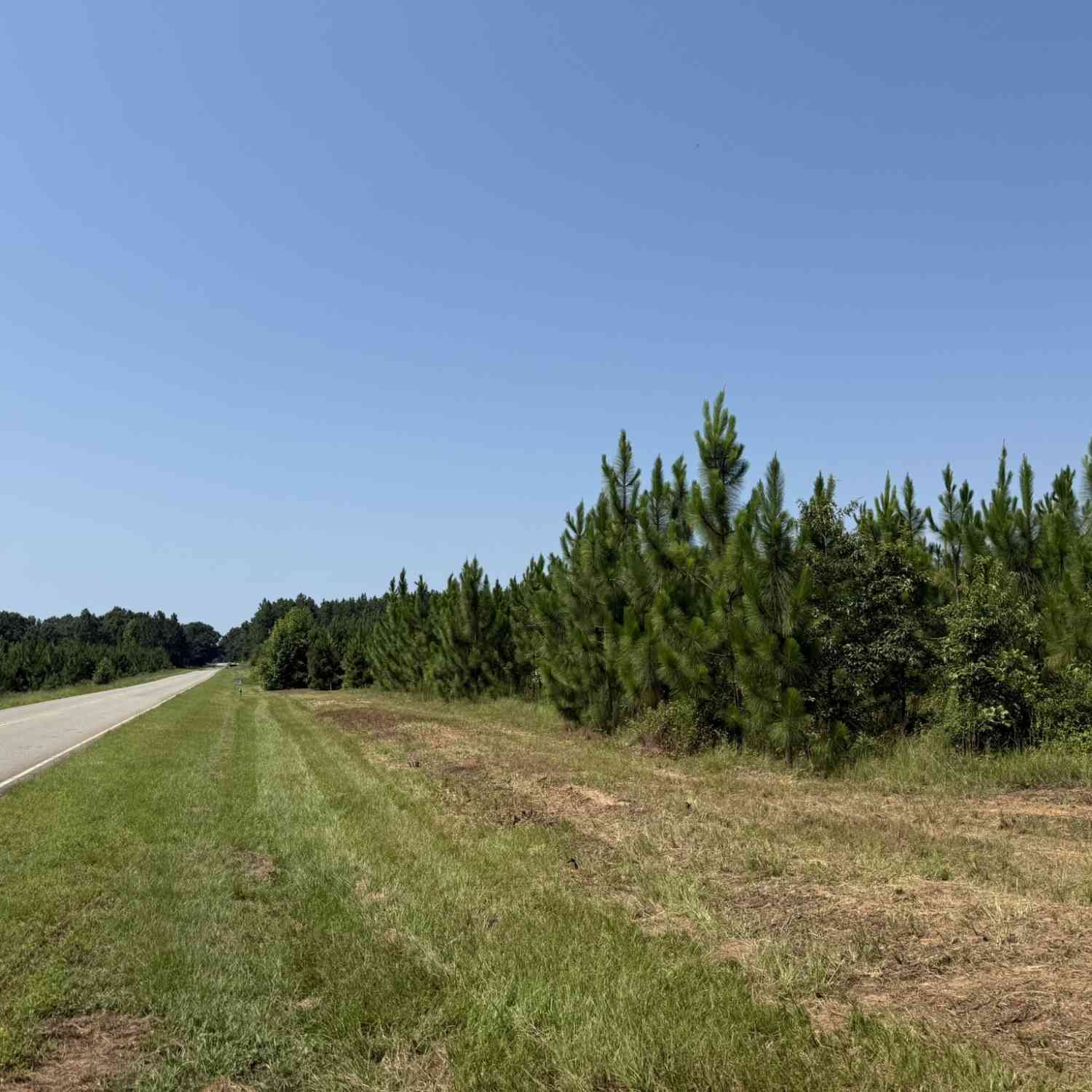 Vacant Land For Sale - 001A Barge Rd<br/> Lumpkin, GA 31815