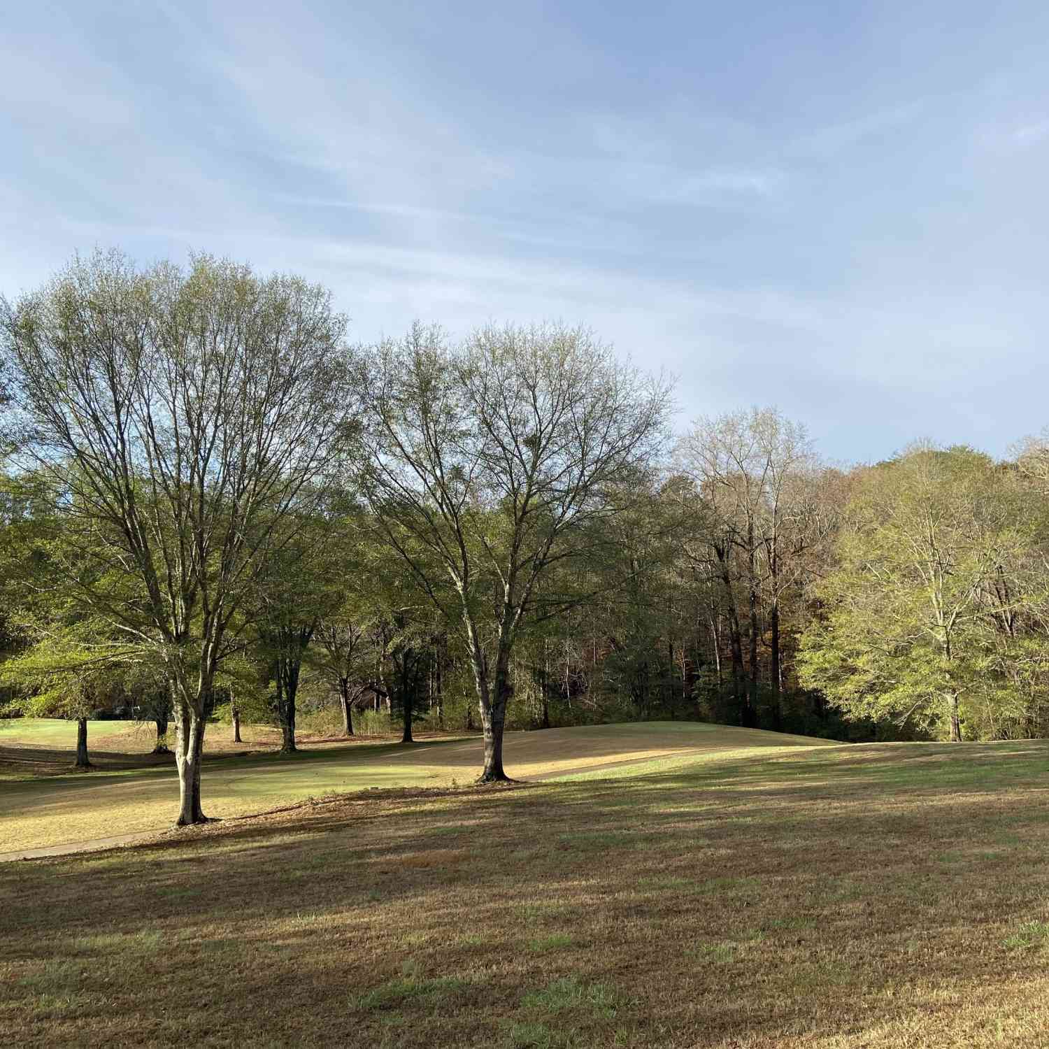 Vacant Land For Sale - Orchard Drive<br/> Clarkesville, GA 30523
