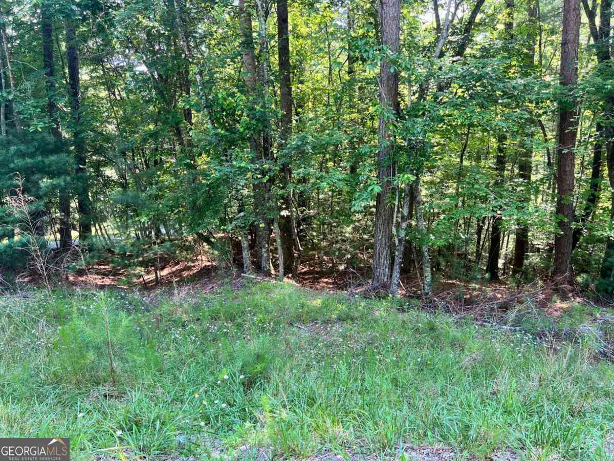 Vacant Land For Sale - Alpine 3625 Drive<br/> Gilmer County, Ellijay, GA 30540