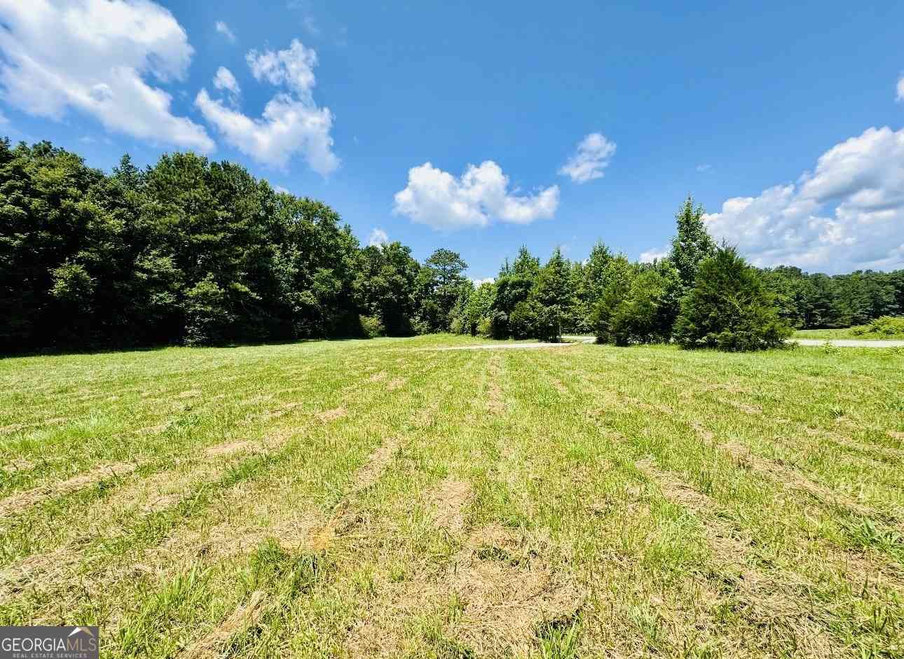 Vacant Land For Sale - Willowood Road<br/> LaGrange, GA 30241