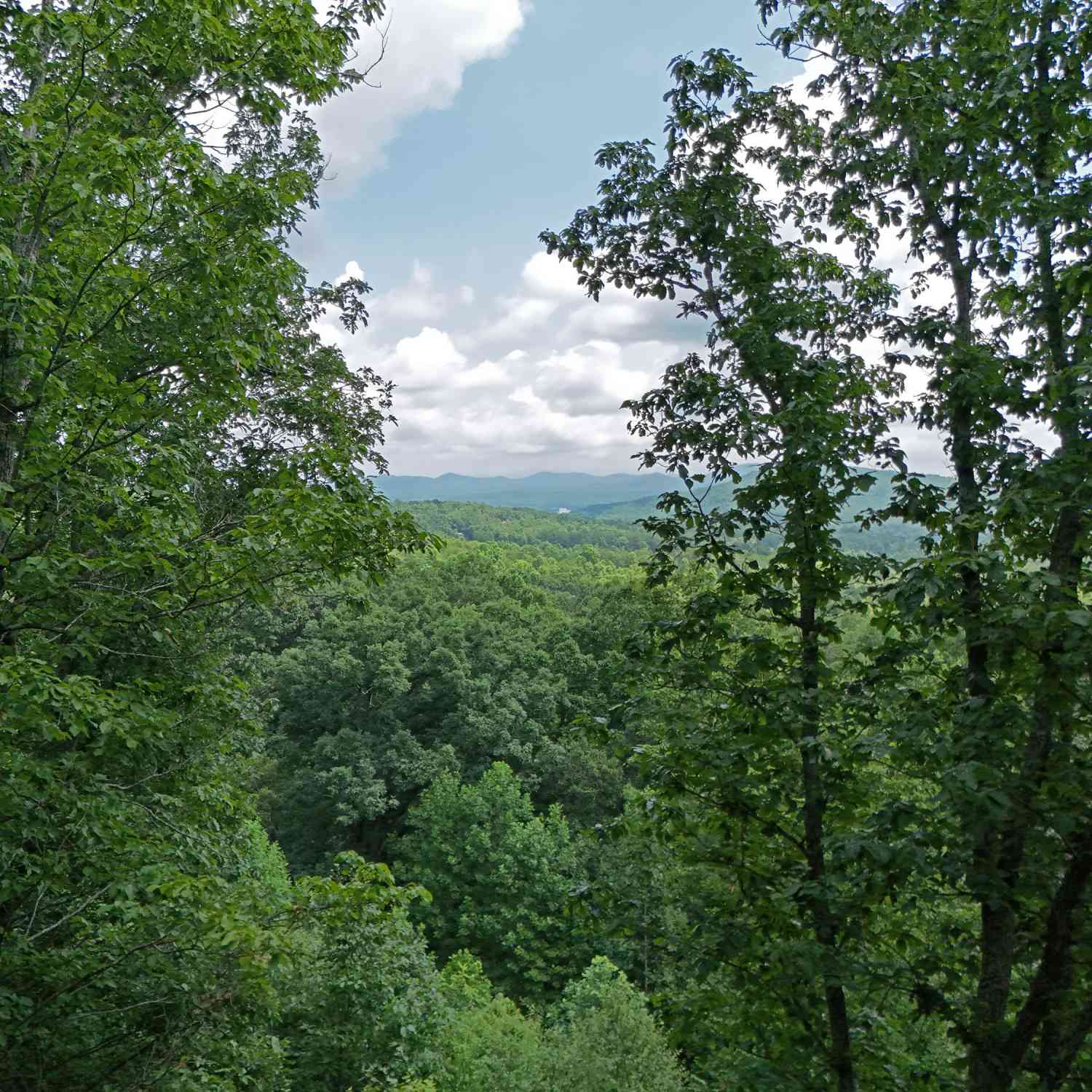 Vacant Land For Sale - LOT 71 Chicory Drive W<br/> Blairsville, GA 30512