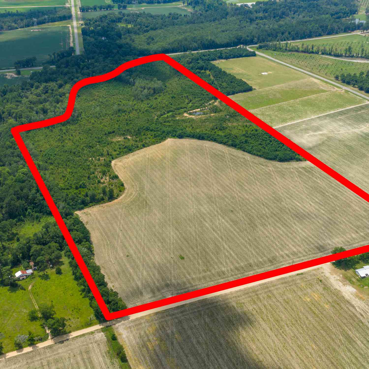 Vacant Land For Sale - Wade Aycock Road<br/> SURRENCY, GA 31563