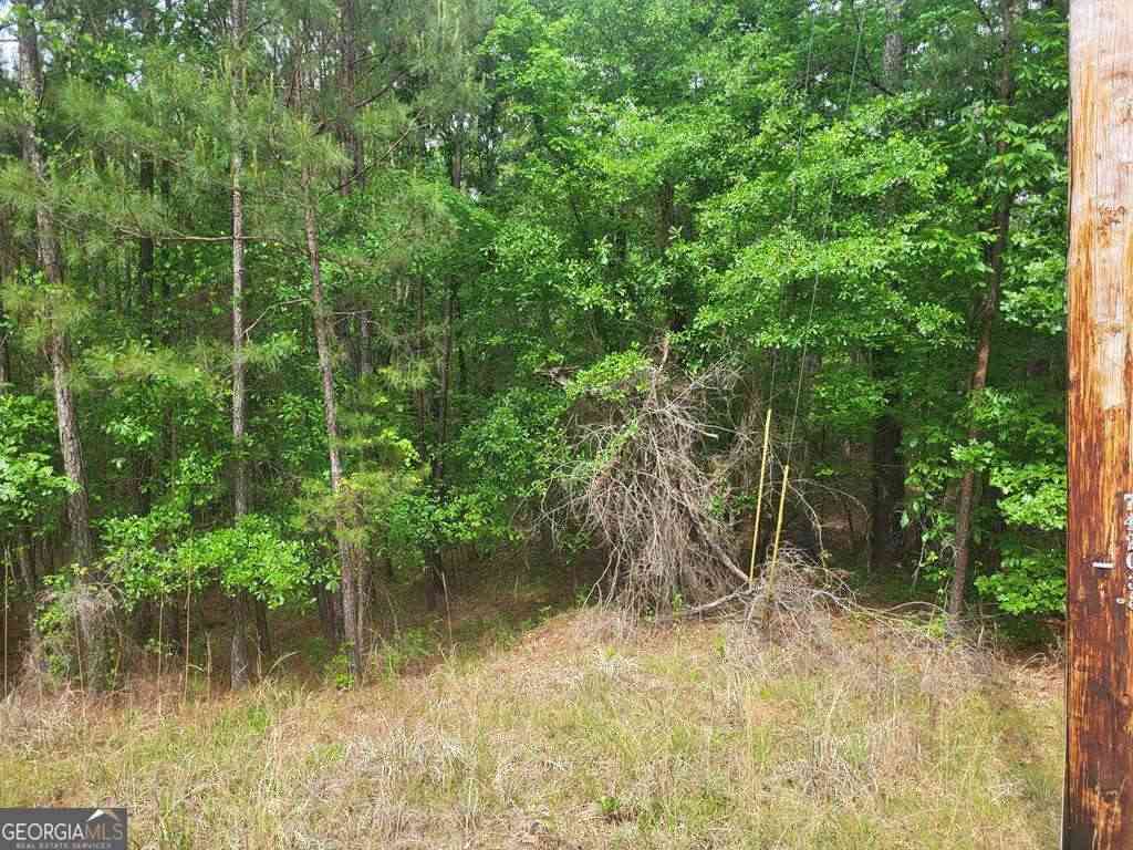 Vacant Land For Sale - Dianthus Drive<br/> Sparta, GA 31087