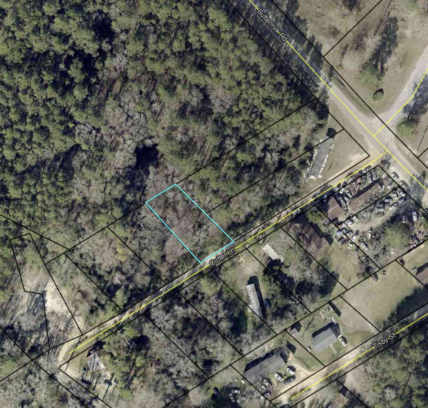 Vacant Land For Sale - Cutter Lane<br/> Screven County, Sylvania, GA 30467