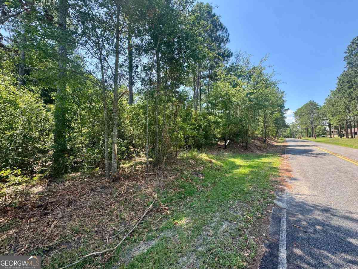 Vacant Land For Sale - TRACT 1 Whiddon Milll Road<br/> Poulan, GA 31781