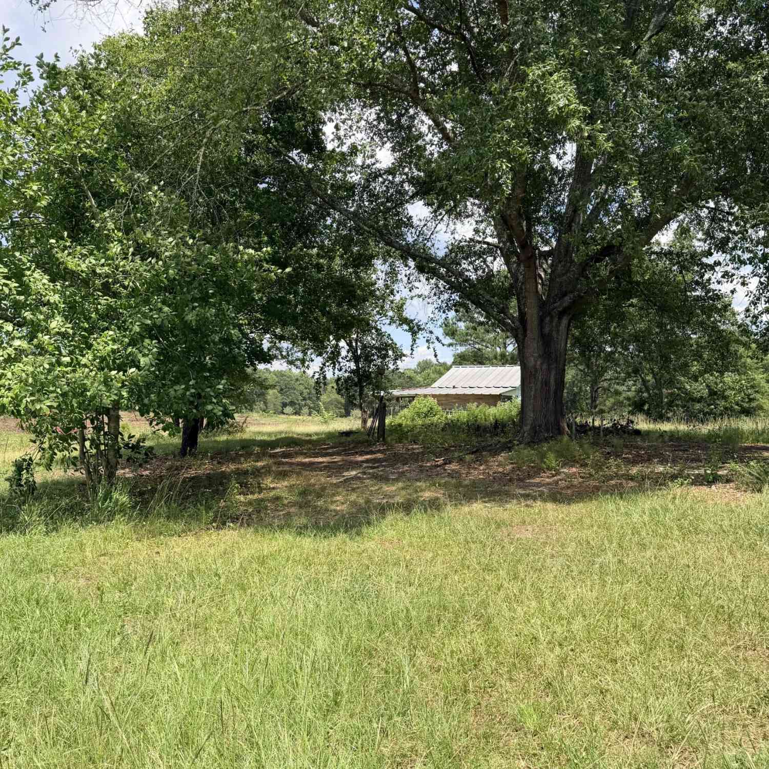Vacant Land For Sale - 2135 Moss Road<br/> Gay, GA 30218