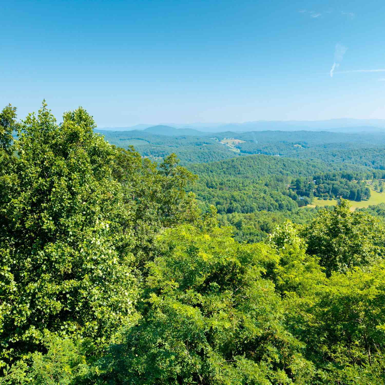 Vacant Land For Sale - 46 Buck Ridge<br/> Murphy, NC 28906