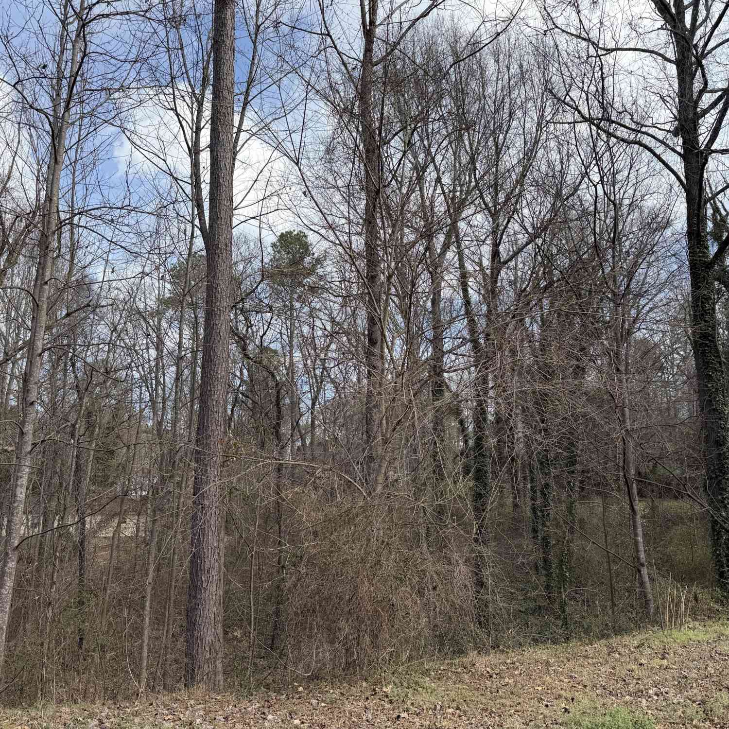 Vacant Land For Sale - 66 Red Top Circle<br/> Bartow County, Emerson, GA 30137