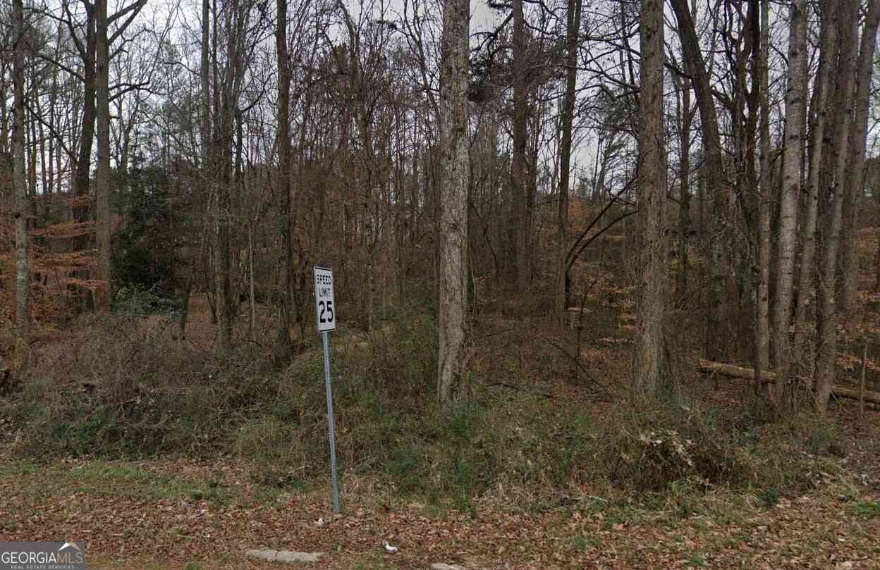 Vacant Land For Sale - 2256 Chestnut Log Drive<br/> Lithia Springs, GA 30122