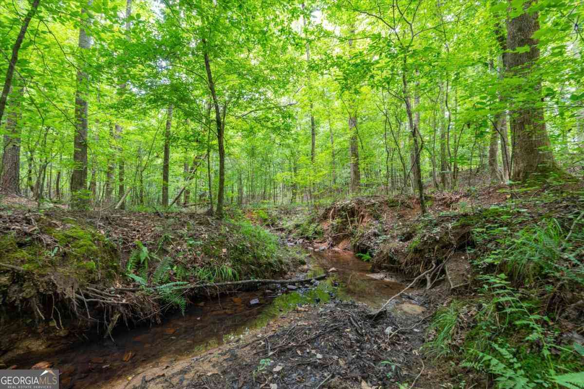 Vacant Land For Sale - 00 Benson Road<br/> Dallas, GA 30132