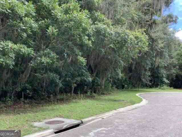 Vacant Land For Sale - Lanyard Court<br/> Camden County, Saint Marys, GA 31558