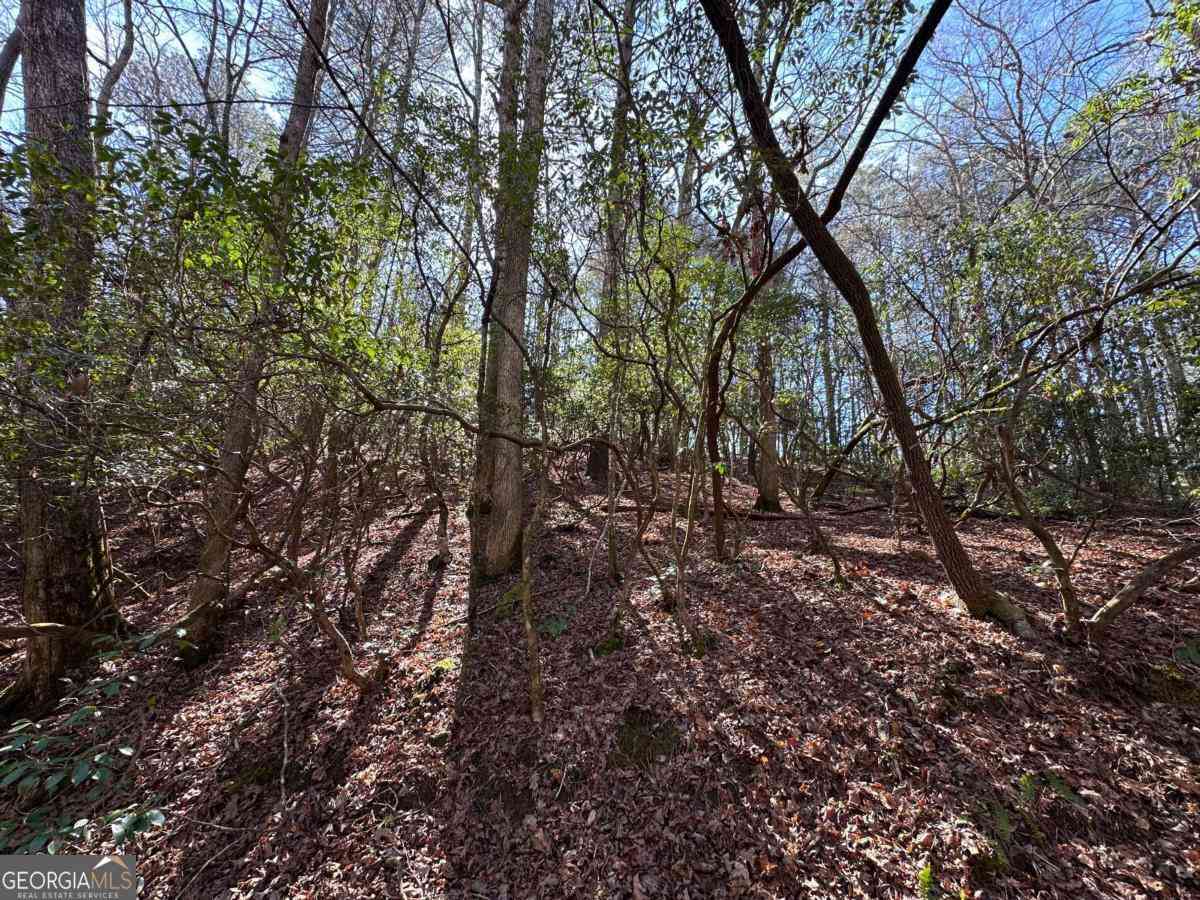 Vacant Land For Sale - 59R Coffee Mill Run<br/> Talking Rock, GA 30175