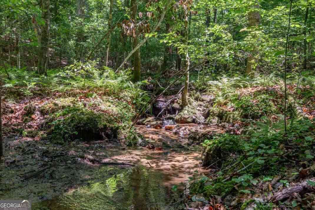 Vacant Land For Sale - 5 AC Solar Drive<br/> Fannin County, Blue Ridge, GA 30513