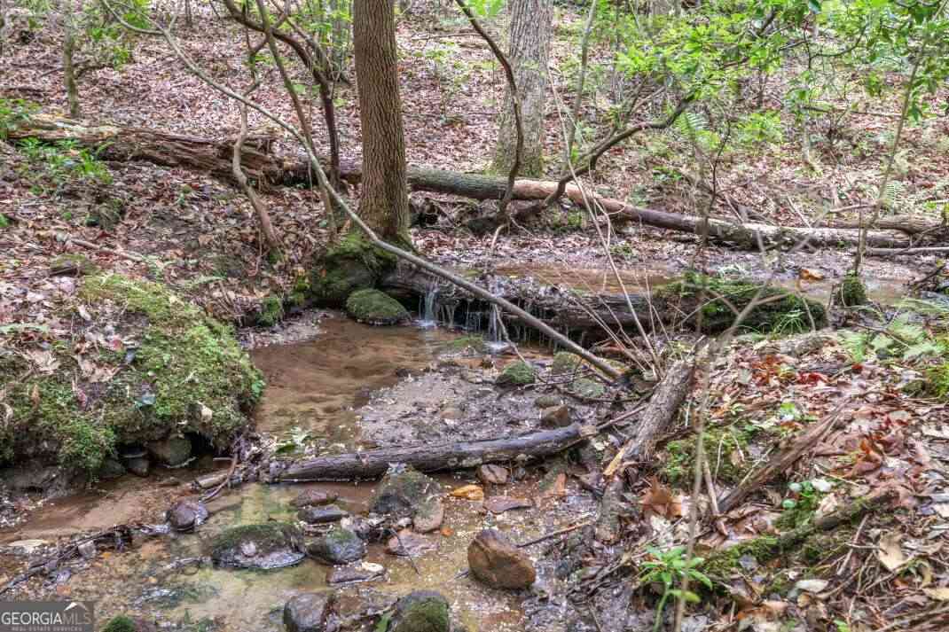 Vacant Land For Sale - 6 AC Solar Drive<br/> Fannin County, Blue Ridge, GA 30513