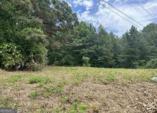 Vacant Land For Sale - Highway 431<br/> Roanoke, AL 36274
