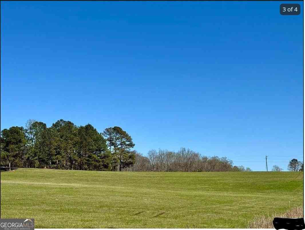 Vacant Land For Sale - 6741 County Road 87<br/> Roanoke, AL 36274