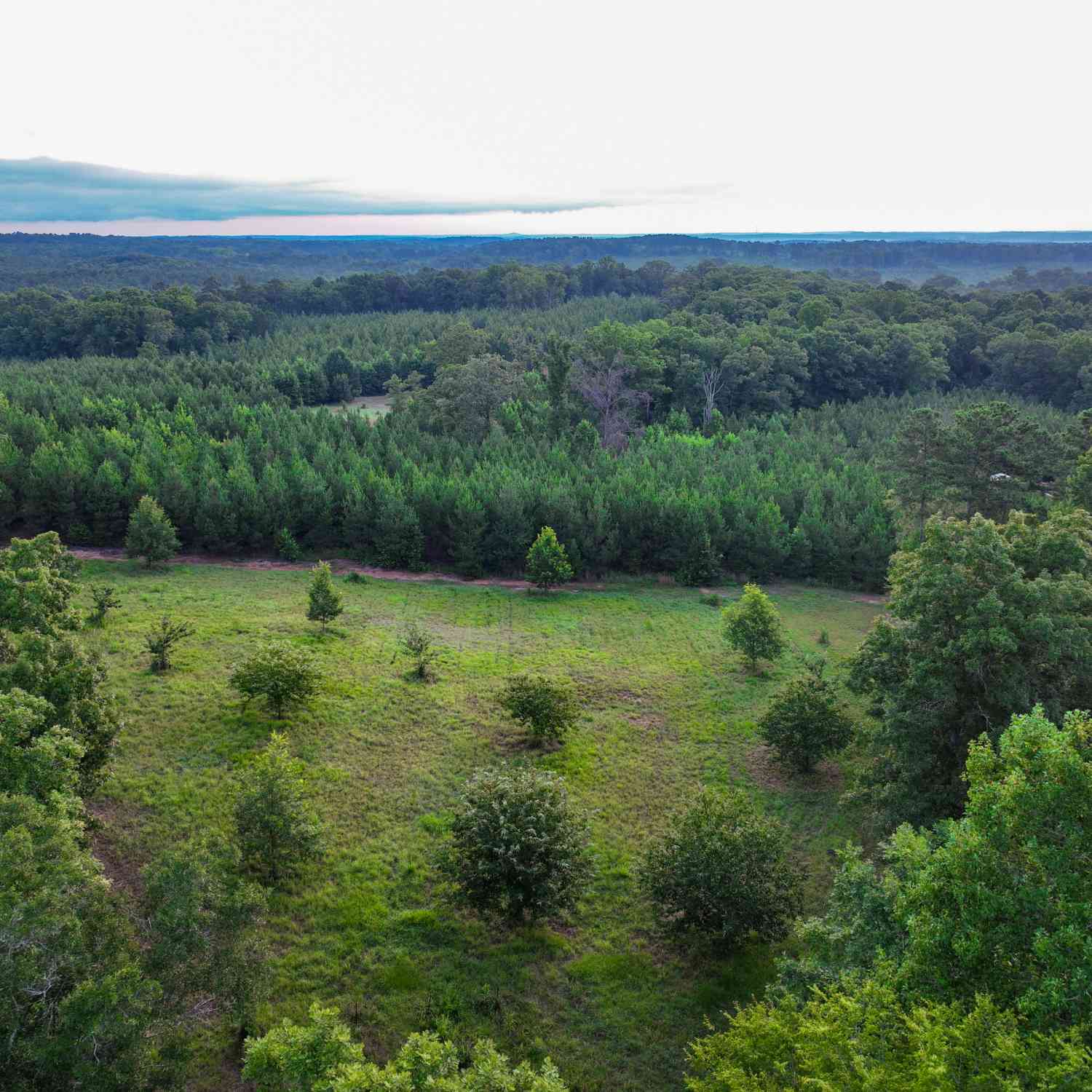 Vacant Land For Sale - V/L Highland Circle<br/> FLOVILLA, GA 30216