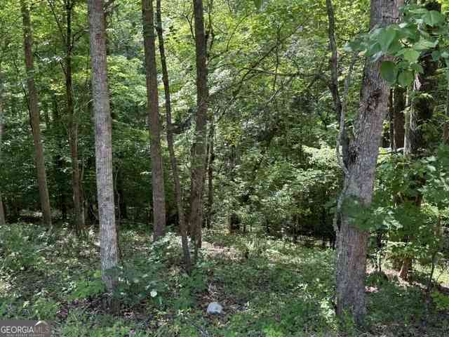 Vacant Land For Sale - 4.6 AC Cherry Grove<br/> Cherokee County, Ball Ground, GA 30107