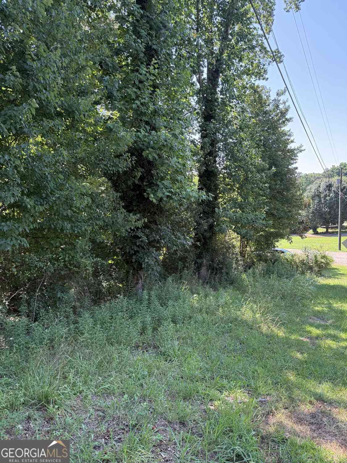 Vacant Land For Sale - 1978 Garden Drive<br/> Gainesville, GA 30507