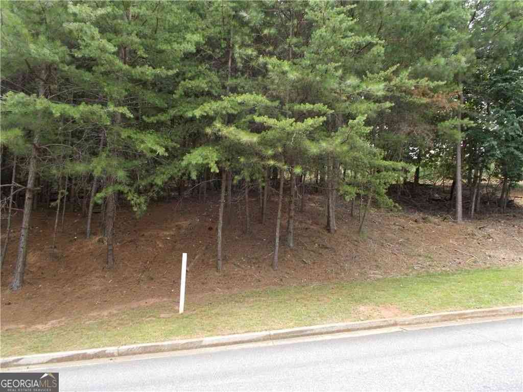 Vacant Land For Sale - 3533 Lake Ridge Drive<br/> Gainesville, GA 30506