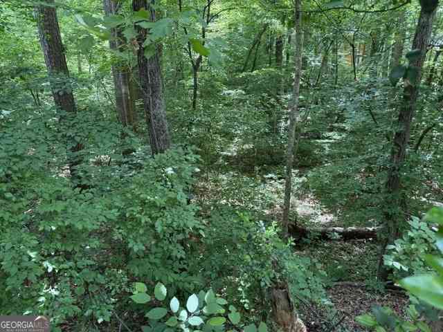 Vacant Land For Sale - LOT 10 Brookhollow Drive<br/> Canton, GA 30114
