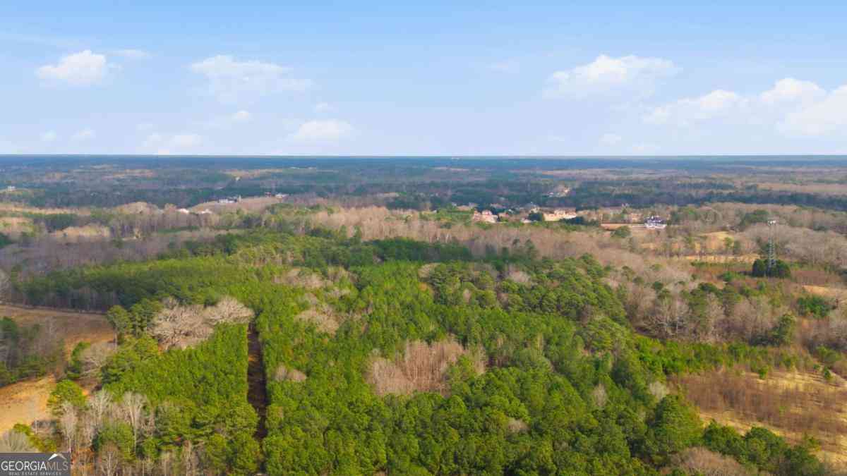 Vacant Land For Sale - 313 Wagon Wheel Trail<br/> Fayetteville, GA 30214
