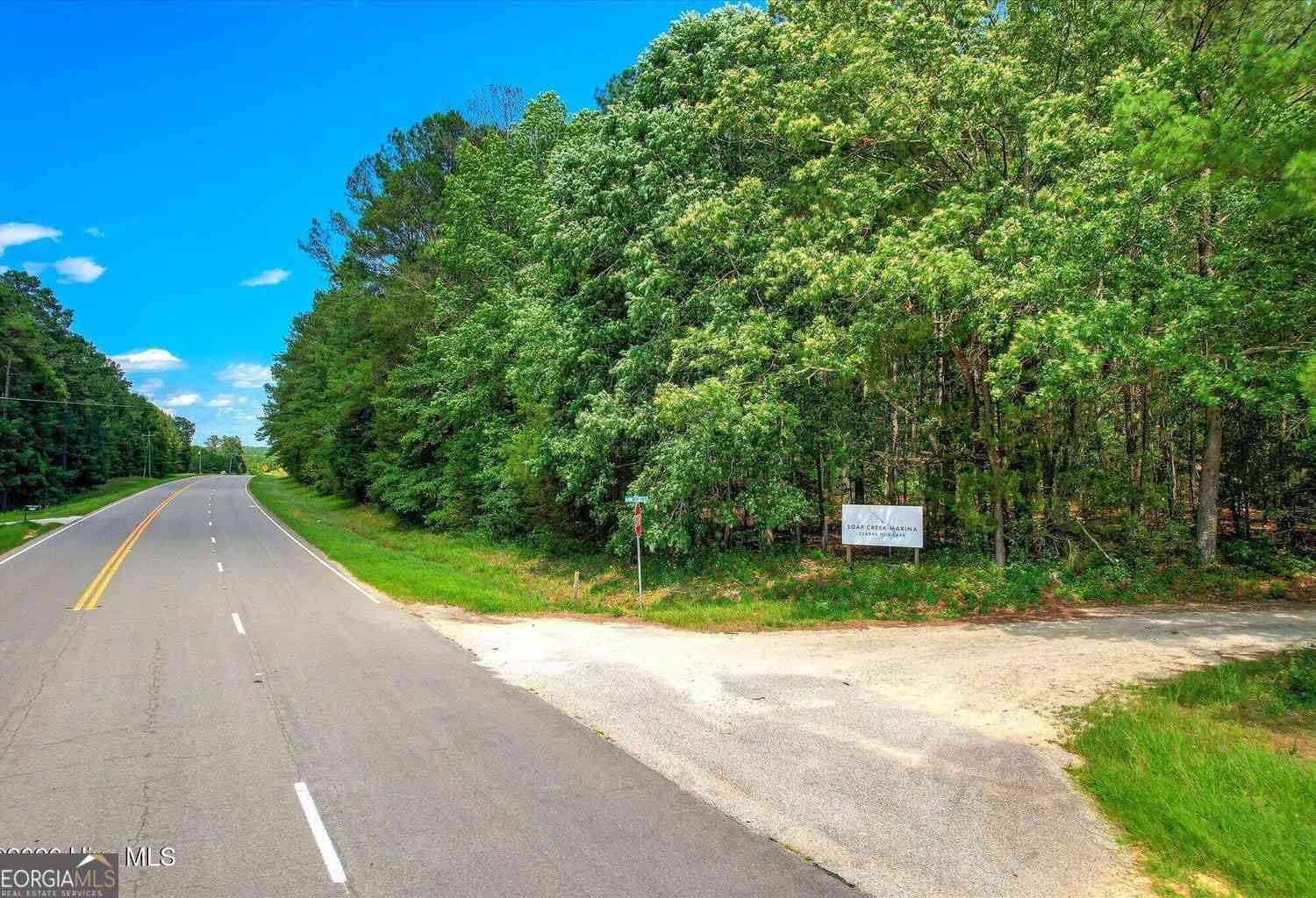 Vacant Land For Sale - Hwy 378 And Ann Scott Drive<br/> Lincoln County, Lincolnton, GA 30817