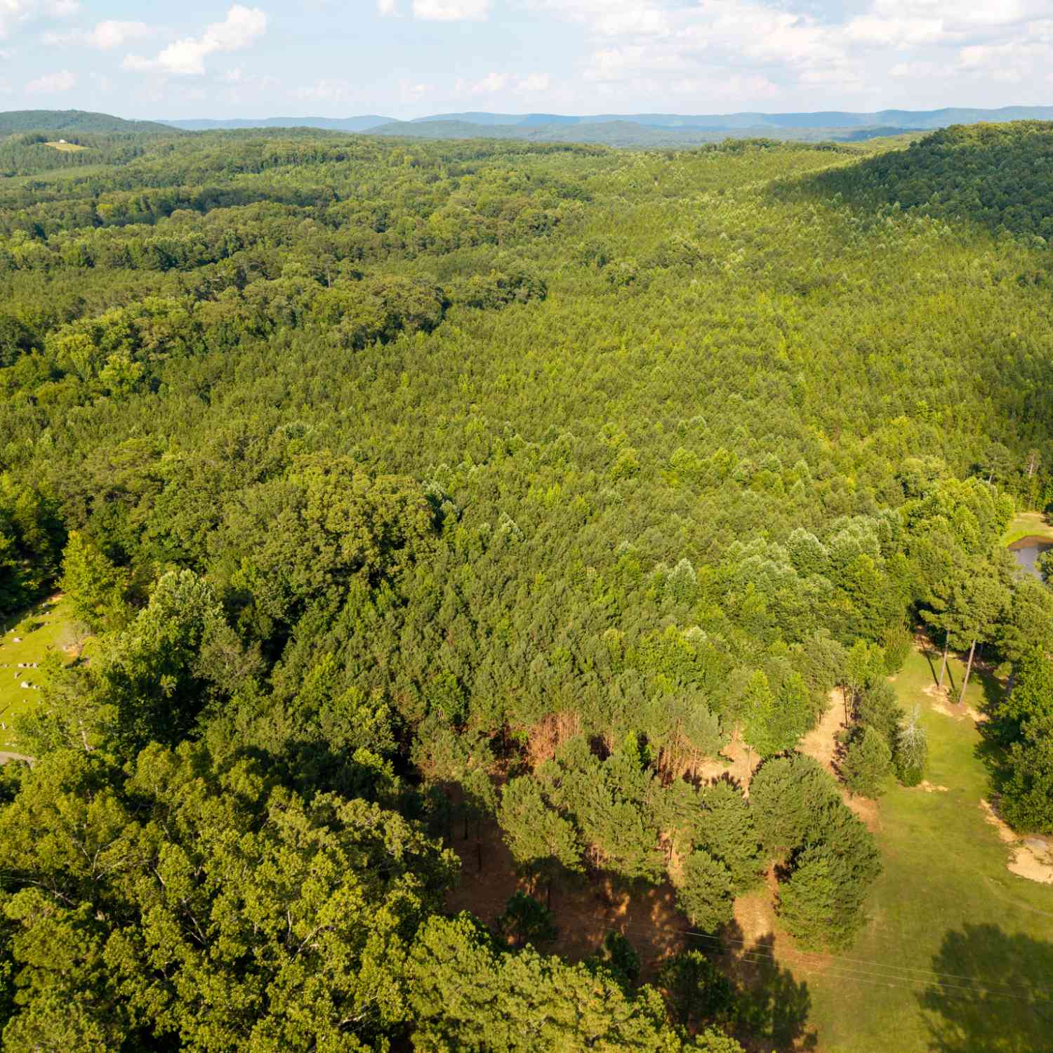 Vacant Land For Sale - Hair Lake Road<br/> Summerville, GA 30747