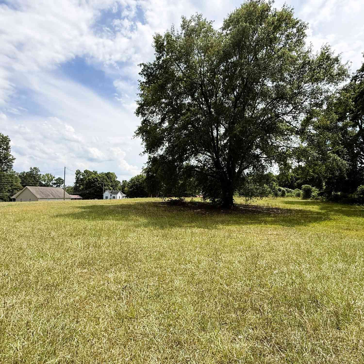 Vacant Land For Sale - Jones St<br/> Elberton, GA 30635