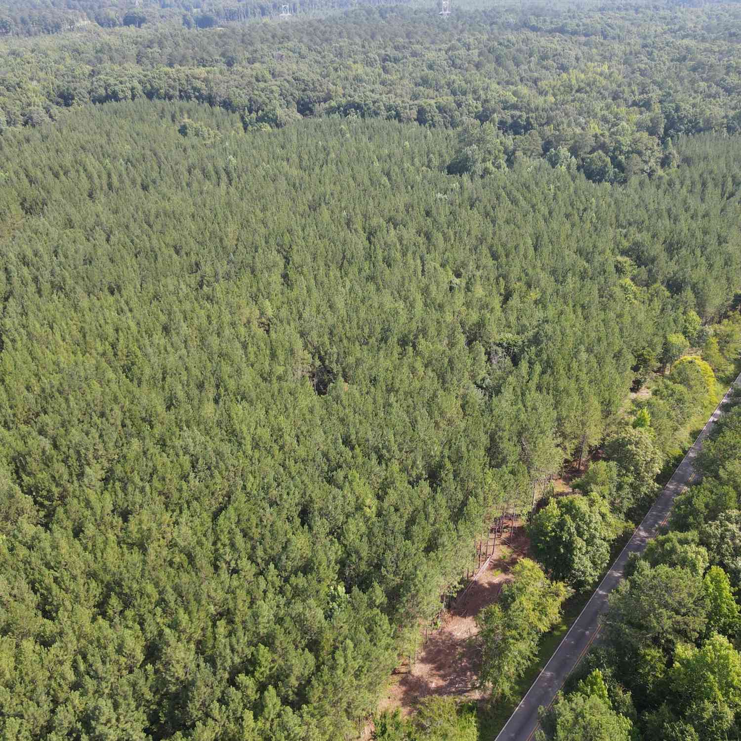 Vacant Land For Sale - Lower Harmony Rd<br/> Eatonton, GA 31024