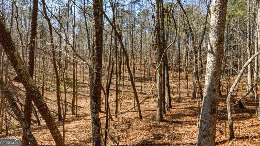 Vacant Land For Sale - Hubbardsville Circle #B<br/> Dawsonville, GA 30534