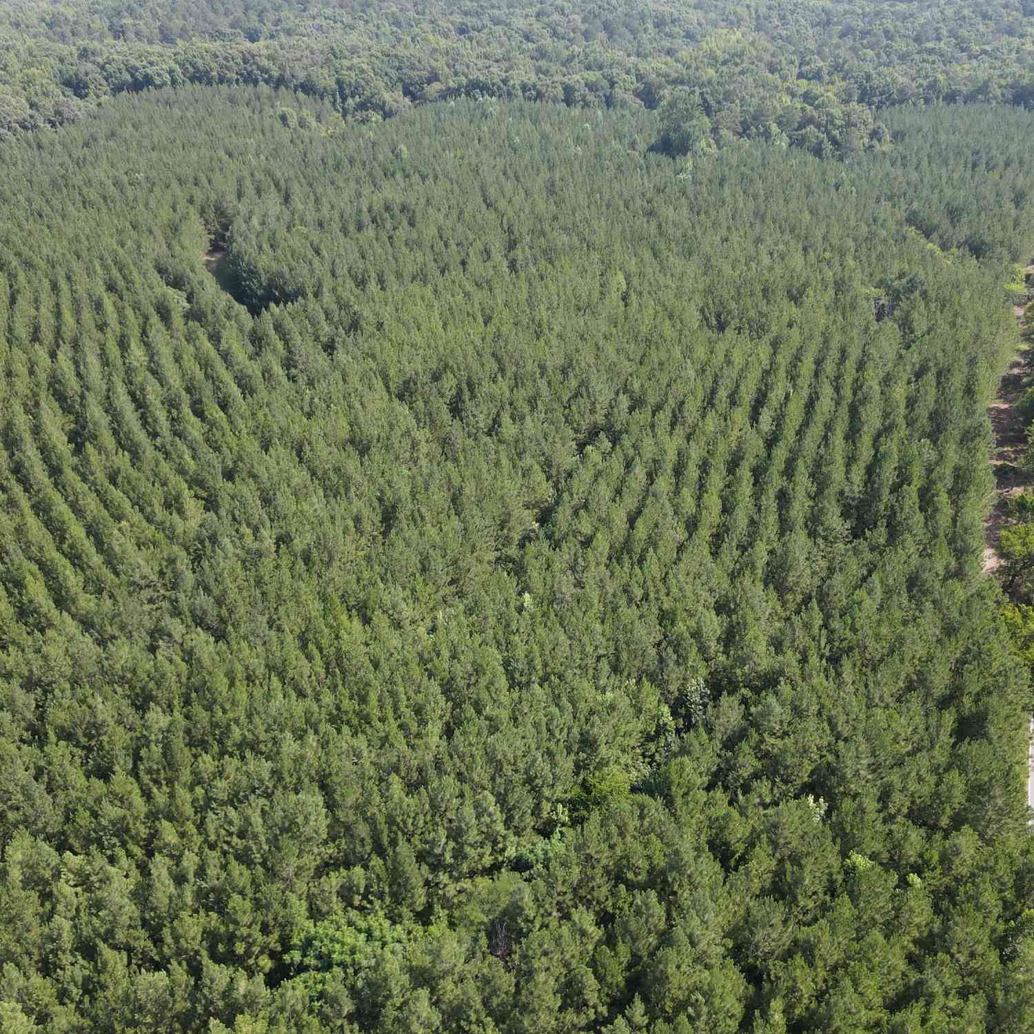 Vacant Land For Sale - Lower Harmony Rd Lot 2<br/> Eatonton, GA 31024