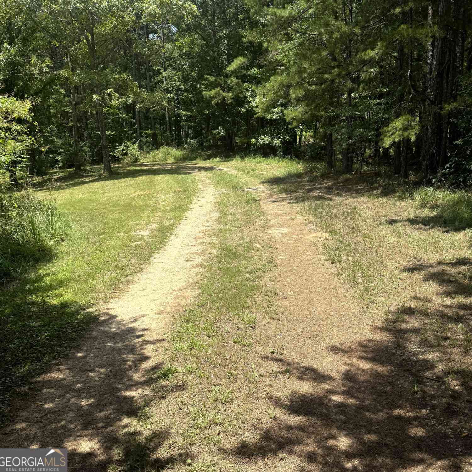 Vacant Land For Sale - Co Rd 61<br/> Cleburne County, Fruithurst, AL 36262