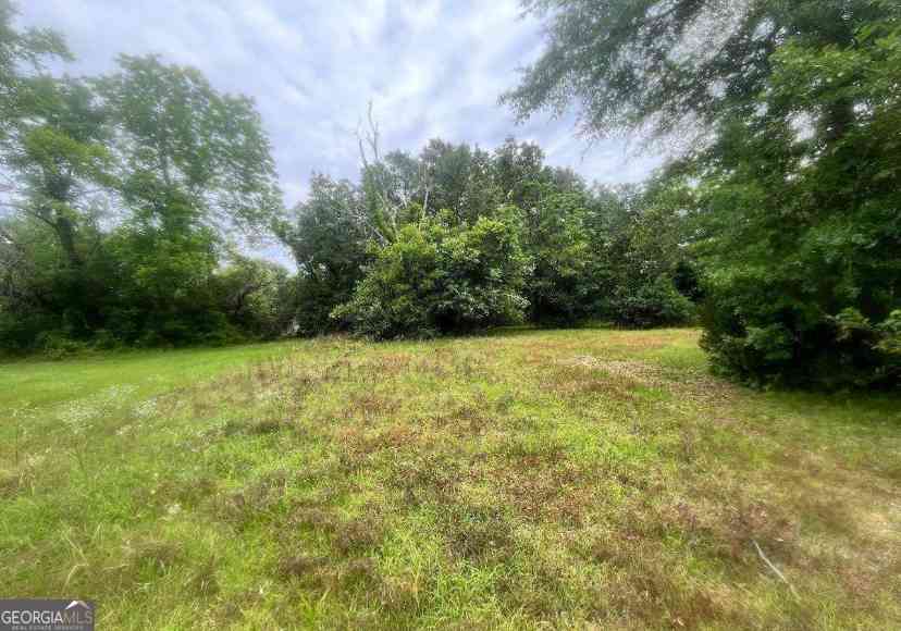 Vacant Land For Sale - 1318 E Roosevelt Avenue<br/> Albany, GA 31705