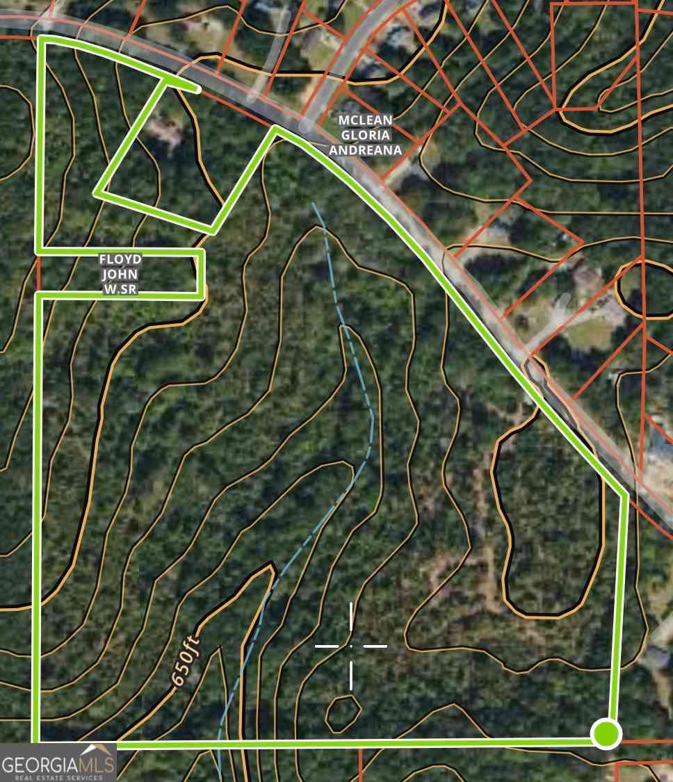 Vacant Land For Sale - Mote Road<br/> Covington, GA 30016