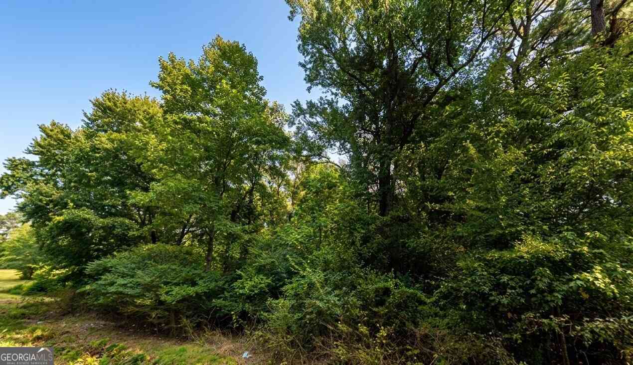 Vacant Land For Sale - County Road 1564<br/> Cullman County, Baileyton, AL 35019